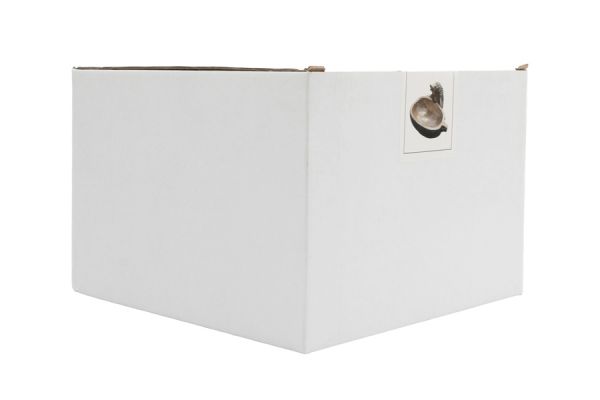 Конфетница 19х17 см, полирезин, золотистая, Еж с тыквой, Light pumpkin ANNA LAFARG
