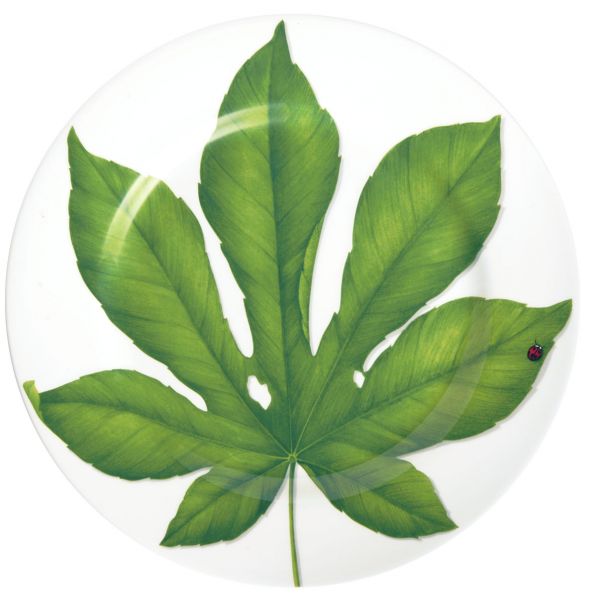 Блюдо сервировочное Leaf 31.5 см FREEDOM B TAITU