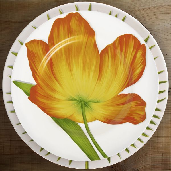 Тарелка обеденная Flower, 27 см, цвет: оранжевый, FREEDOM     (1)     1-80-D