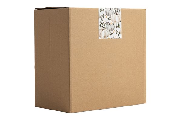 Емкость для хранения, 18х16 см, 1,3 л, керамика, белая, в крапинку, Тыква, Light pumpkin ANNA LAFARG
