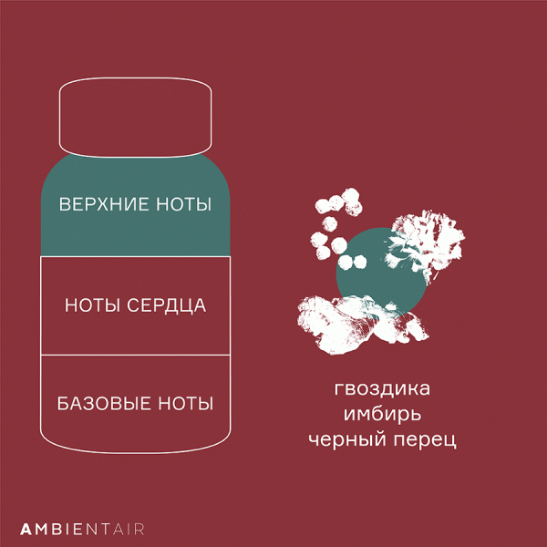 Диффузор ароматический gifting Имбирное печенье 100 мл