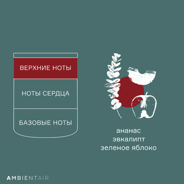 Свеча ароматическая gifting Корица и яблоко 40 ч