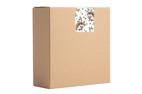 Конфетница 21х15 см, керамика, коричневая, Еж с листом, Autumn forest ANNA LAFARG
