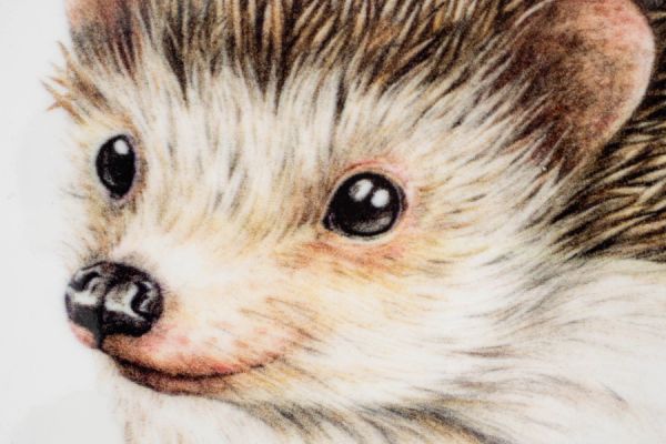 Подставка под кружку 11 см, квадратная, керамика/пробка, белая, Еж Autumn forest ANNA LAFARG