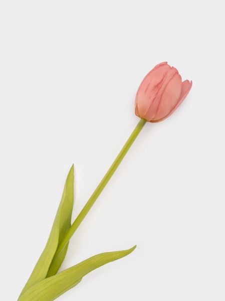 Цветок искусственный, 40 см, полиэтилен, Розовый тюльпан, Interior spring

