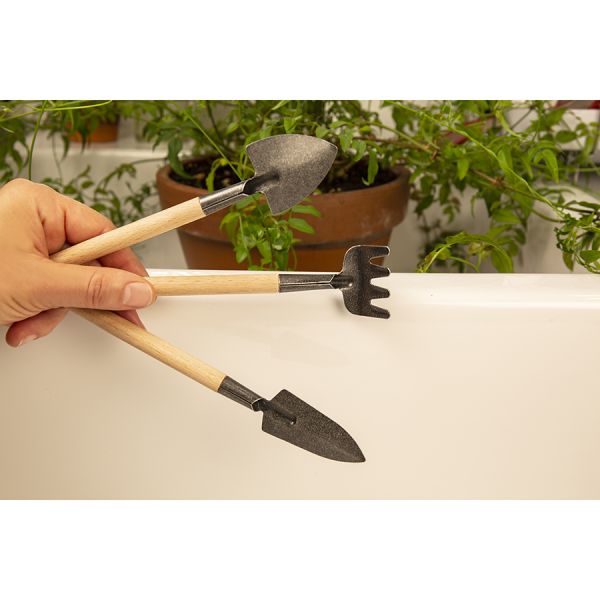 Набор инструментов для декоративных растений mini garden 3 предмета