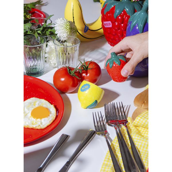 Набор из солонки и перечницы lemonberry Doiy