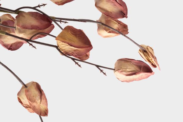 Ветка декоративная 46 см, пенопласт/бумага, Бутоны, Light autumn ANNA LAFARG
