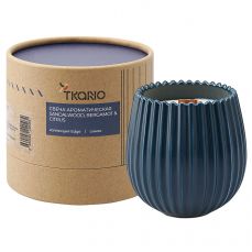Свеча ароматическая с деревянным фитилём sandalwood, bergamot & citrus из коллекции edge, синий, 60 ч Tkano