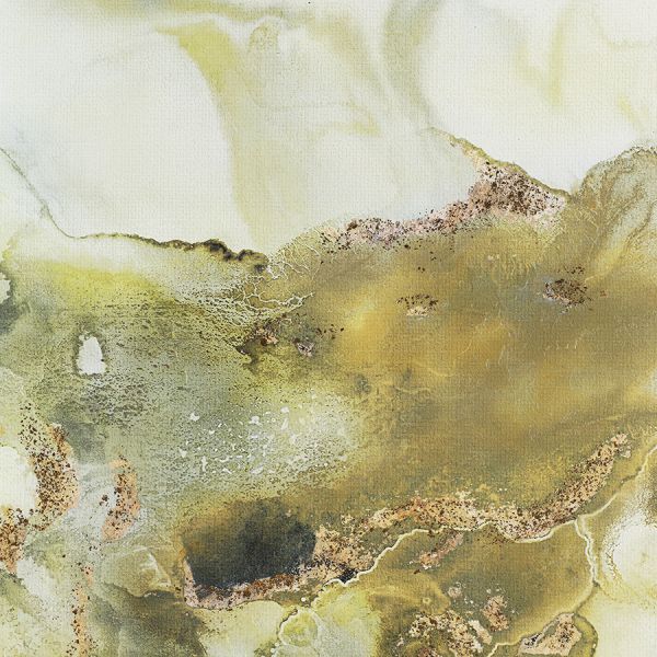 Панно декоративное utopia sage, 60х90 см Bergenson Bjorn