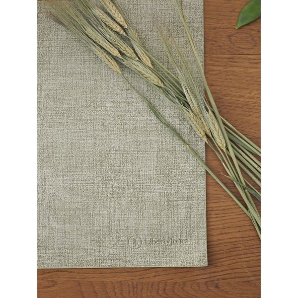 Набор из 2-х сервировочных салфеток leanera, 30х45 см, мятные Liberty Jones