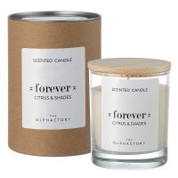 Свеча ароматическая the olphactory, forever, citrus&shades, 40 ч Ambientair