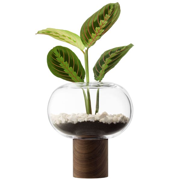 Ваза oblate, 21,5 см, прозрачная/орех LSA International