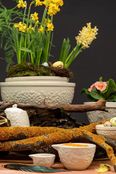 Набор мерных чаш birds of paradise, кремовые, 4 шт Liberty Jones