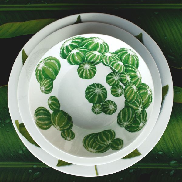 Салатник 21,5 см CACTUS TAITU