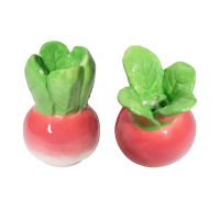 Набор из солонки и перечницы radish Doiy