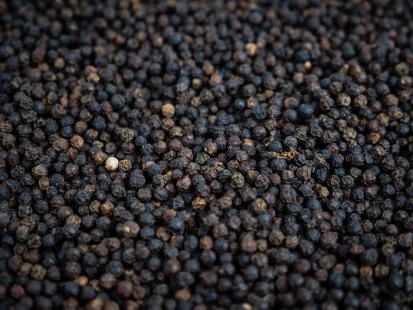 Набор для специй PEUGEOT Занзибар