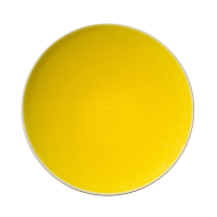Обеденная тарелка 26 см, цвет цитрон,TOURRON     (6)     950810