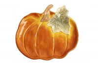 Блюдо 22 см, керамика, оранжево-зеленое, Тыква, Bright pumpkin ANNA LAFARG