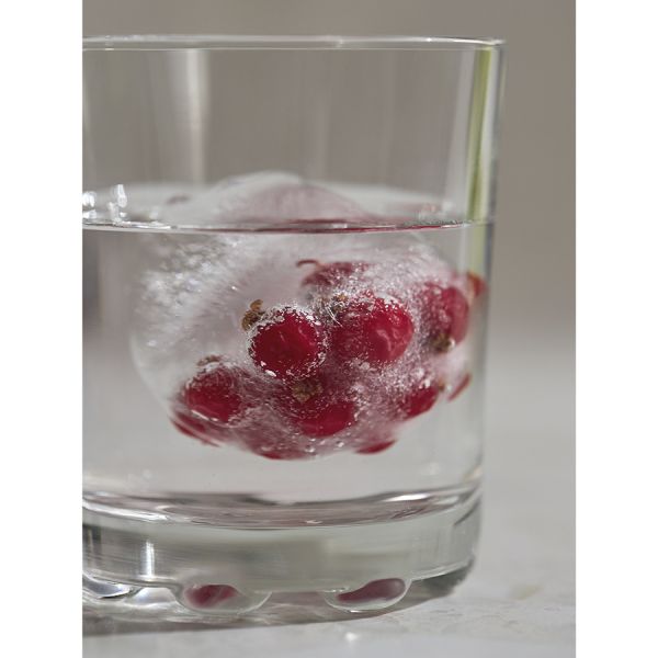 Форма для льда freeze Smart Solutions