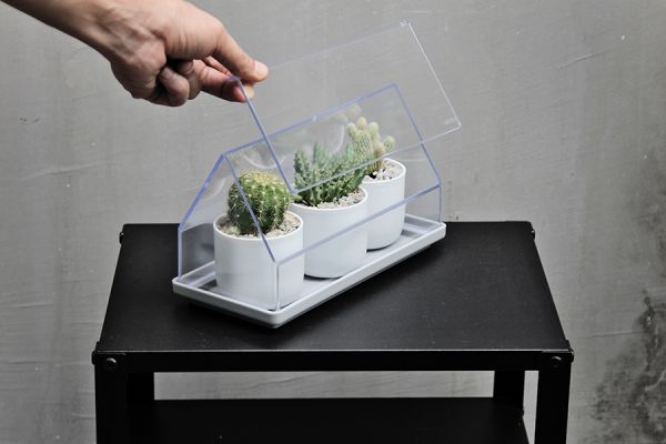 Лоток для выращивания растений micro green house прозрачный