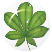 Блюдо сервировочное Leaf 31.5 см FREEDOM D TAITU
