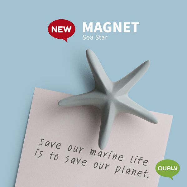 Магнит sea star