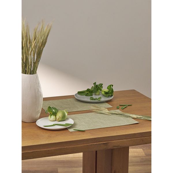 Набор из 2-х сервировочных салфеток leanera, 30х45 см, мятные Liberty Jones