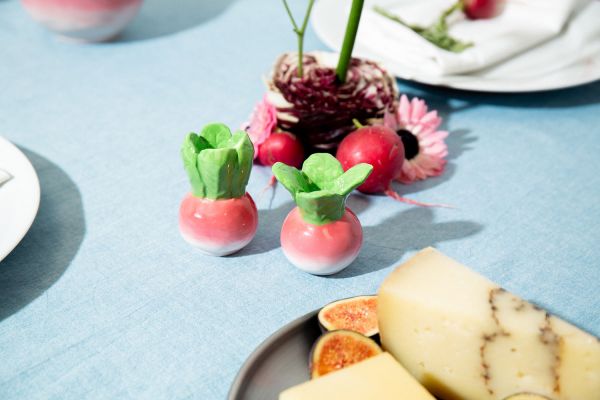 Набор из солонки и перечницы radish Doiy

