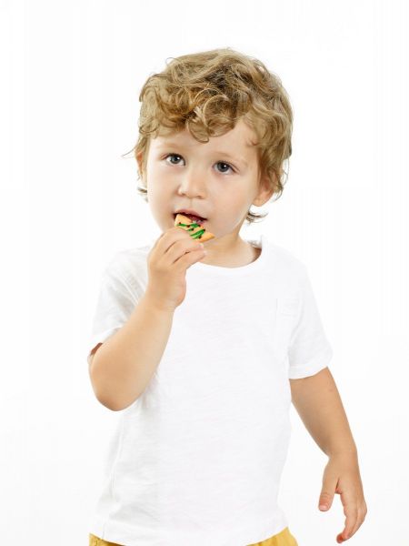 Форма для печенья Елочка Lekue зеленая 