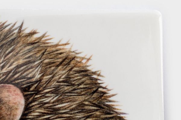 Подставка под кружку 11 см, квадратная, керамика/пробка, белая, Еж Autumn forest ANNA LAFARG