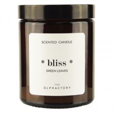 Свеча ароматическая the olphactory, bliss, green rhubarb, 30 ч Ambientair