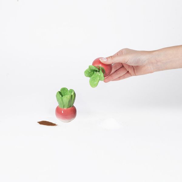 Набор из солонки и перечницы radish Doiy
