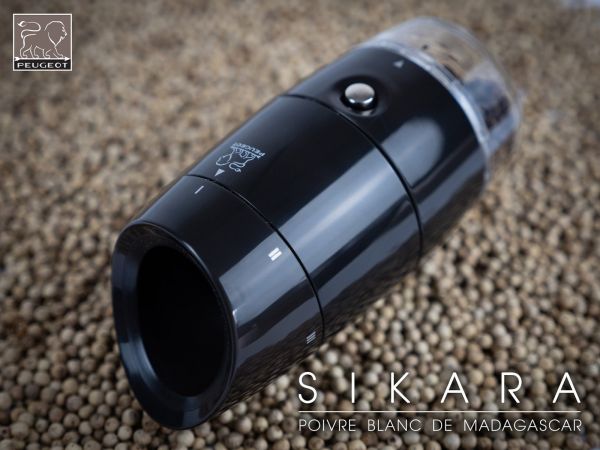 Набор для специй PEUGEOT Занзибар