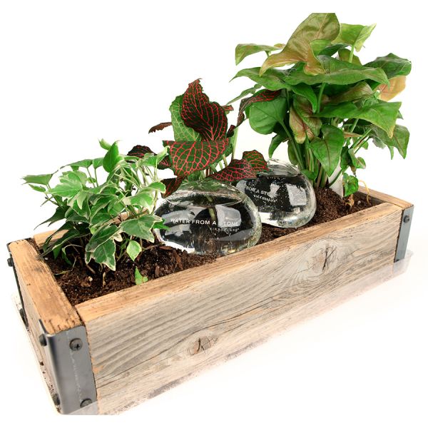 Система для автополива water rocks 2 предмета