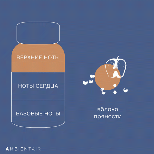 Диффузор ароматический gifting Карамель и яблоко 100 мл