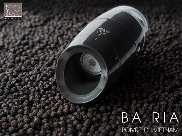 Набор для специй PEUGEOT Занзибар