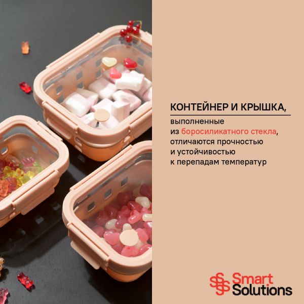 Контейнер для запекания, хранения и переноски продуктов в чехле, 370 мл, бежевый Smart Solutions