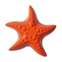 Открывалка для бутылок starfish Doiy