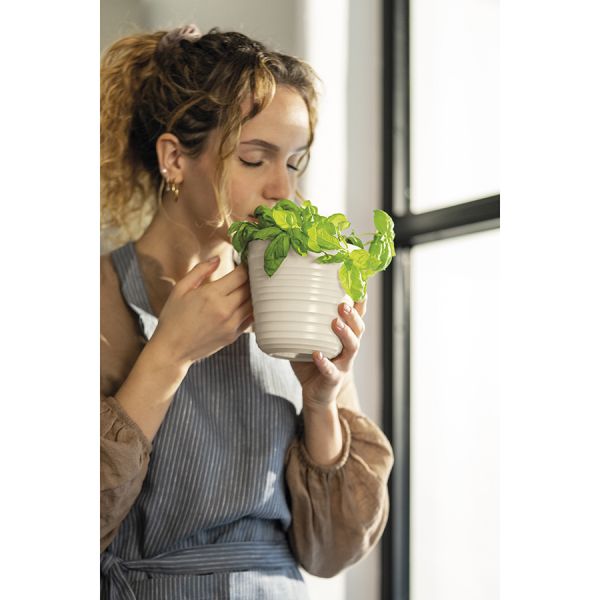 Кашпо для комнатных растений tierra, молочное Guzzini