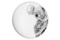 Тарелка Коала 20 см Maxwell & Williams