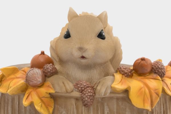 Конфетница 17х14 см, полирезин, коричневая, Белка, Autumn forest ANNA LAFARG
