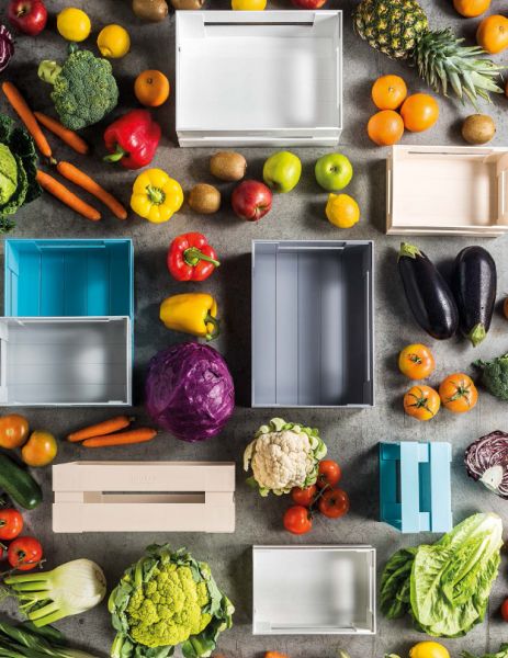 Ящик для хранения Tidy & Store S 22,4х5,4х8,7 см светло-серый Guzzini