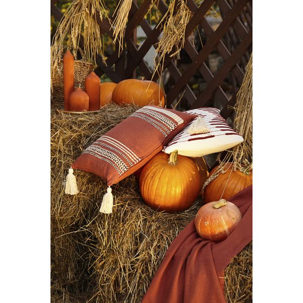 Подушка декоративная с вышивкой braids из коллекции ethnic 30х45 см Tkano