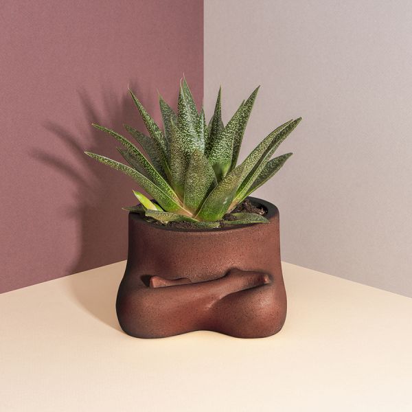 Горшок цветочный namaste Doiy