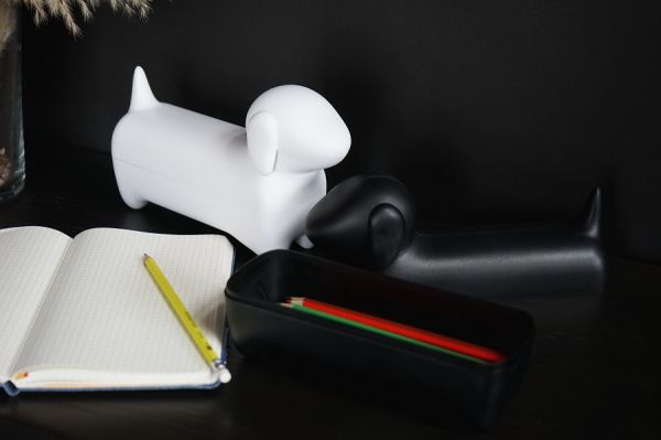 Коробка для мелочей Dacholder белая