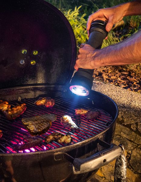 Мельница для перца с подсветкой деревянная 30 см, графит, BBQ, 41526, PEUGEOT,