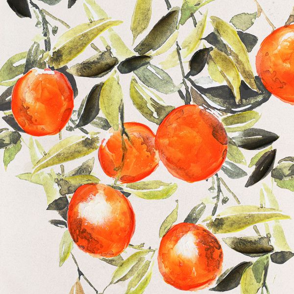 Панно декоративное juicy orange, 70х100 см Bergenson Bjorn
