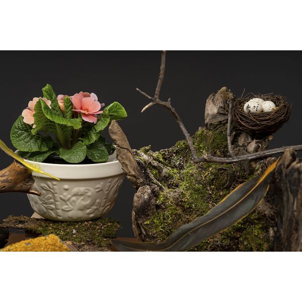 Чаша birds of paradise, 850 мл, кремовая Liberty Jones