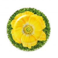 Тарелка десертная Macro photography 21,5 см,цвет: желтый, PRATI ITALIANI TAITU
